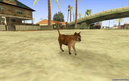 Моддер добавил анимированных животных в GTA San Andreas Моддер добавил анимированных животных в GTA San Andreas
