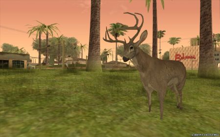 Моддер добавил анимированных животных в GTA San Andreas Моддер добавил анимированных животных в GTA San Andreas