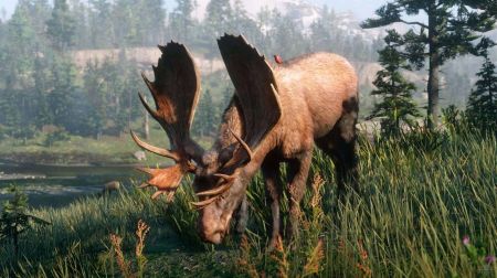 Ученые: RDR 2 помогает изучать биологию и экологию Ученые: RDR 2 помогает изучать биологию и экологию