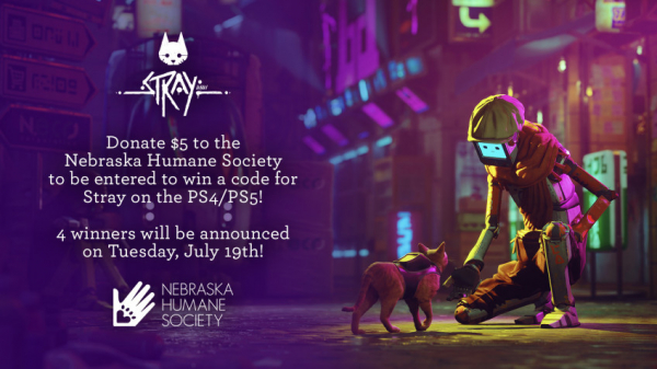 Создатели Stray предлагают жертвовать кошачьим приютам — EcoGamer Создатели Stray предлагают жертвовать кошачьим приютам — EcoGamer