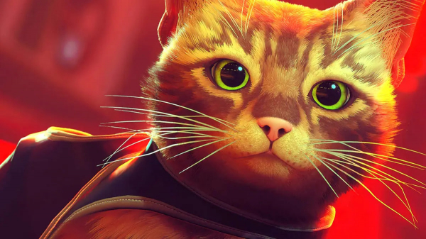 Футуристическое приключение Stray про кота скоро выйдет на Xbox — EcoGamer Футуристическое приключение Stray про кота скоро выйдет на Xbox
