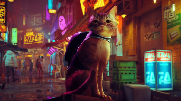 ESRB удалила возрастной рейтинг версии Stray для Xbox — EcoGamer ESRB удалила возрастной рейтинг версии Stray для Xbox